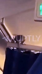 Ratazana surge a bordo de avião e provoca pânico entre passageiros