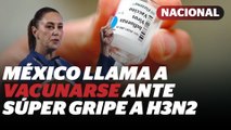 ¿Quiénes deben vacunarse contra la Súper Gripe H3N2? Esto dice Secretaría de Salud | Reporte Indigo