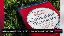 Merriam-Webster: “Slop” is the Word of the Year