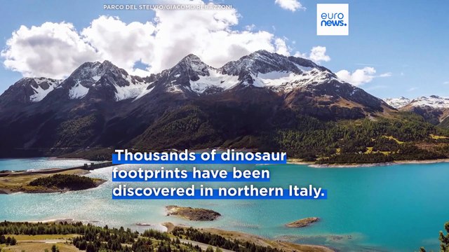 Thousands of dinosaur footprints discovered on rock faces in northern Italy