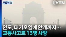 인도, 대기오염에 안개 겹쳐 앞이 '깜깜'...고속도로 사고로 13명 사망 / YTN
