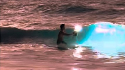 Sfida le onde per uno scatto perfetto: il fotografo che racconta la bellezza del mondo subacqueo