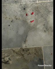 DON DIABLO DECÍAN MI MAMÁ LUIS (PAPA) A LO MEJOR NO ES NUESTRO HIJO TÚ QUIERES A MX A MI ME DA IGUAL Y EL (YO) LOS ODI@ A MX Y MTY A  MÁS NO PODER VIVE CON MUCHO ODI0