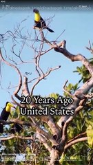 [TOP MOVIE] From Lost Heiress To Royal Highness #flextv #litetv #kalostv #dramabox #Shortstudio