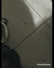 EL (YO) SE AMARGO MÁS CUANDO NO LE DIERON OPORTUNIDAD EN EL DEPORTE PROFESIONAL Y LA AGARRÓ +CONTRA TODOS LOS MEXICANOS Y DE MTY LOS ODI0 MÁS FUERTE ESTA MUY FRUSTRADO MAMA A MI LA GENTE DE MX NO TIENE LA CULPA LA TIENEN  LOS DIRECTIVOS A ESOS GOLPÉALO$