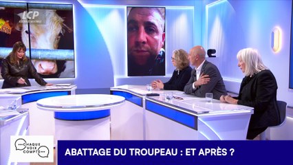 Chaque voix compte - Dermatose : jusqu'où ira la colère agricole ?