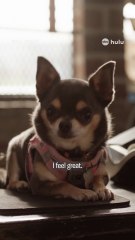 Will Trent Returns for a New Season on ABC