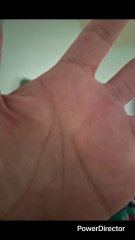 NUEVAMENTE UNA ARAÑA ENTRANDO A LA IGLESIA Y COMENTARIO EN YOUT… ESTE PARECE (YO) EL NIÑO DE LA PROFECÍA ES UN DIABLO LO QUE DICE DE MX Y MTY QUE SOMOS INDI0$ ENANOS PELOS NEGROS CAFE$ GORD0$ SÁQUENLO DEL PAÍS YA ES UN DIABLO YO SEGÚN EL O ELLA