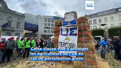 Mercosur : le Parlement adopte des mesures de protections pour les agriculteurs