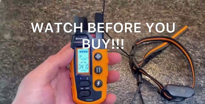 Best Dog Training and Recall Collar with 3300ft Range and Remote (Rechargeable & Waterproof) – Review!