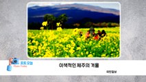 [포토오늘] 이색적인 제주의 겨울  / YTN