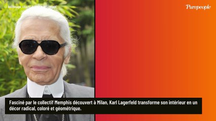 Karl Lagerfeld : son appartement à Monaco, un palace avec vue sur la Méditerranée dans une tour de 27 étages