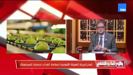رئيس هيئة سلامة الغذاء: منظومة رقابية متكاملة على تداول الغذاء في مصر
