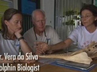 JEAN-MICHEL COUSTEAU: OCEAN ADVENTURES | Pink Dolphins | PBS