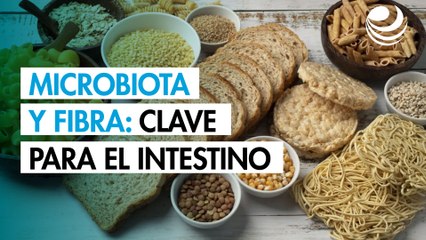 Microbiota feliz: menús ricos en fibra para cuidar el intestino (y el estado de ánimo)