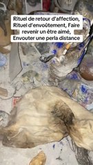 Retour affectif réussi