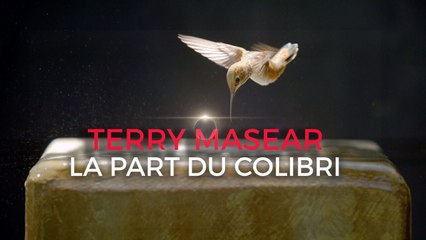 Terry Masear : la part du colibri