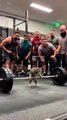 Don't scroll away... this cat's personal record is absolutely insane! 🏋️🐾 #catsoftiktok #gymtok #aivideo #aiart #edit