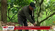 Crédito FIRA: opciones de financiamiento para impulsar al sector rural en México