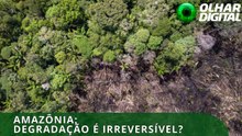 Amazônia está se aproximando de ponto crítico
