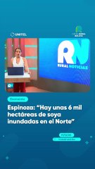 Espinoza: "Hay unas 6 mil hectáreas de soya inundas en el Norte"
