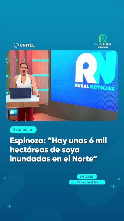 Espinoza: "Hay unas 6 mil hectáreas de soya inundas en el Norte"
