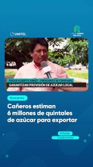Cañeros estiman 6 millones de quintales de azúcar para exportar