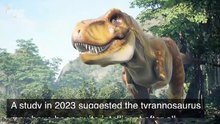 Another Twist in the T-Rex Tale as New Findings Challenge Old Beliefs