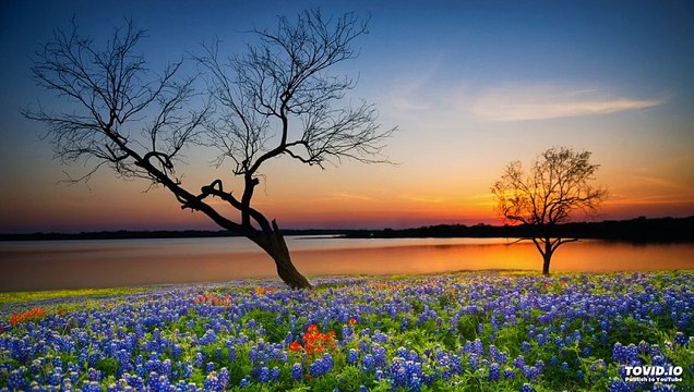 031שער הנקודים פרק ה | Harav ariel sibeoni | Kabbale | secrets de la Torah | ochrot hayim