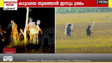 വയനാട്ടിൽ കടുവയെ തുരത്താൻ ശ്രമം തുടരുന്നു; ദൗത്യം ഉടൻ പുനരാംഭിക്കും