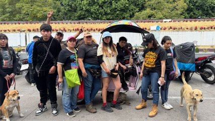 Abandono de perritos aumenta en diciembre en CDMX mientras también crece la adopción