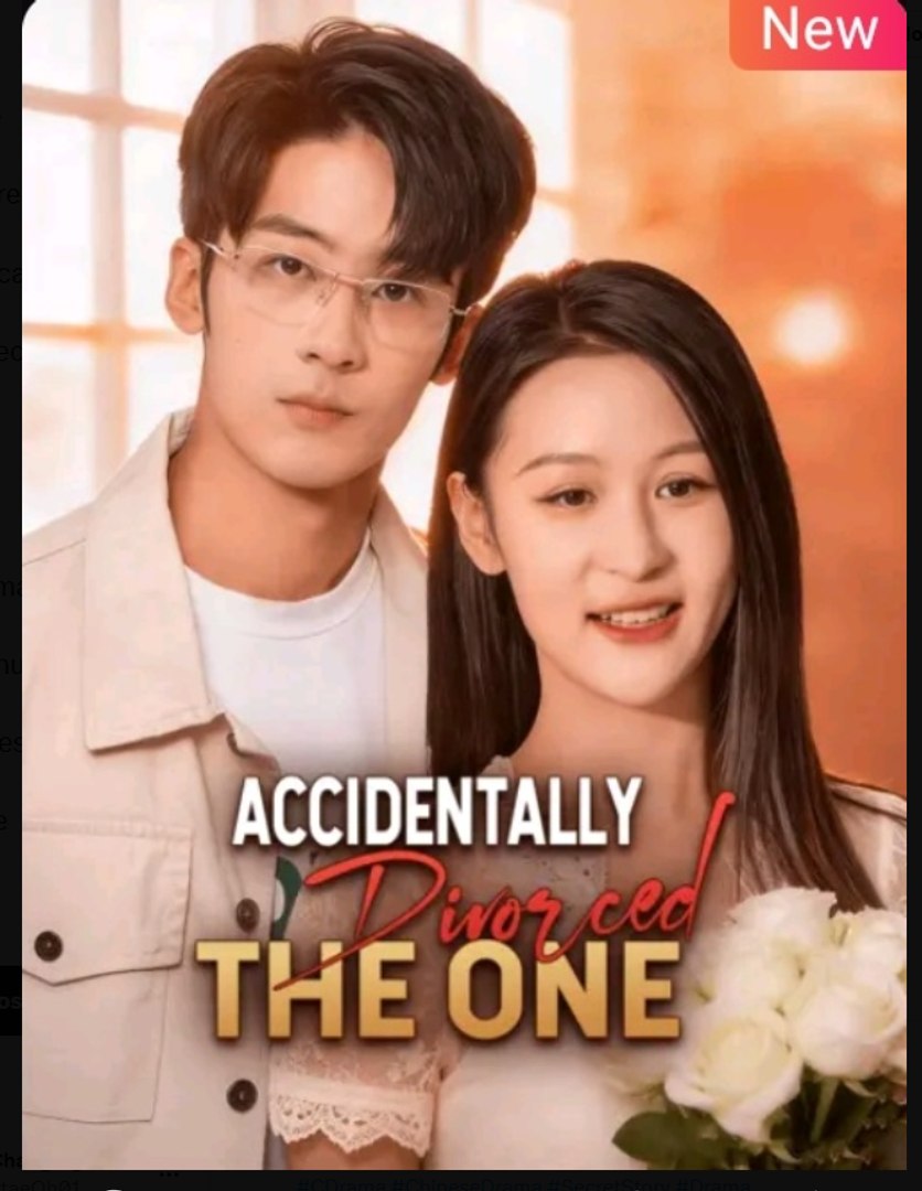 Accidentally Divorced the One Chinese Drama - English Sub
