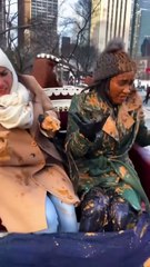 When the Horse Has Taco Bell Before Your Central Park Ride 🌮💨