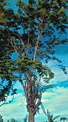 Lelah tapi alhamdulillah