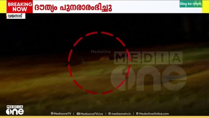 കടുവയെ തുരത്തുന്ന ദൗത്യം പുനരാരംഭിച്ചു...