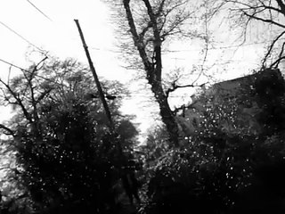 CSH COMEDY (Miss Beverly Identifies Garbage Pail Kids Cheap Toy Figure) Art Basel Miami Video Art