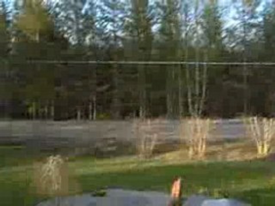 S1050895