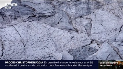 Plusieurs milliers empreintes de dinosaures découvertes sur des parois rocheuses du nord de l'Italie