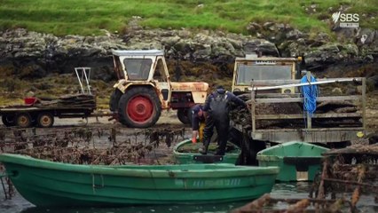 national parks from above ireland with dara o briain s01e02