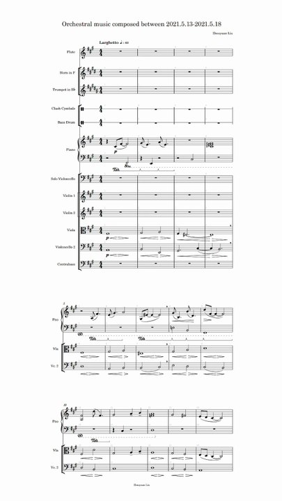 Orchestral music composed between 2021.5.13-2021.5.18 (Vertical complete score)