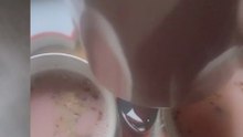 Kashmiri chai recipe pink tea ☕