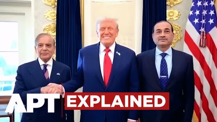 Pakistan Army Chief Asim Munir in Spotlight as Trump Pushes Troops for Gaza Stabilisation Plan | APT