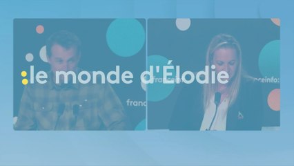 Vincent Munier explore les forêts des Vosges en famille : "Le dehors, c'est une réponse au-dedans dans le sens où on se fait du bien intérieur"