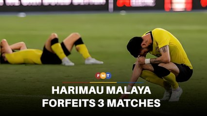 Fifa rules Harimau Malaya forfeit 3 matches over ineligible players