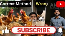 ₹40Kg वाला Poultry Feed अब सिर्फ ₹20Kg में बनाएँ  घर पर बनाने का Golden Formula और Secret Tip! #anas