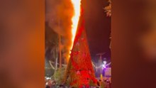 Riesiger Weihnachtsbaum geht in Flammen auf