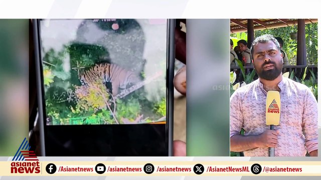ആശങ്ക ഒഴിഞ്ഞു...വയനാട് ജനവാസമേഖലയിൽ ഇറങ്ങിയ കടുവ കാട് കയറിയെന്ന് DFO