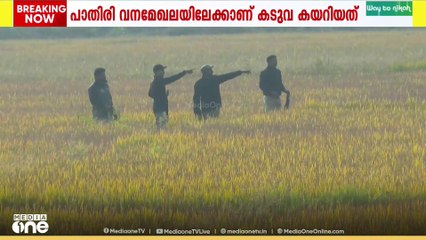 വയനാട് പച്ചിലക്കാട് ജനവാസമേഖലയിൽ ഇറങ്ങിയ കടുവ കാടു കയറിയതായി വനംവകുപ്പ്