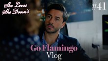 Go Flamingo Vlog #41