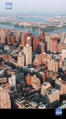 Dear Professor, You Are My Baby Daddy (2025) - FULL _ Reelshort